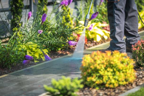 Best Restaurant Pressure Washing  in Navarre, FL